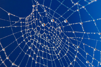 Spider web beads.jpg